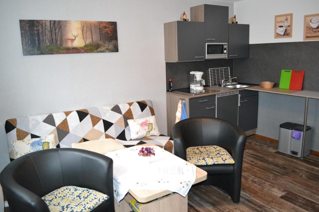 Edelweiss Apartment Schulenberg im Oberharz Luaran gambar